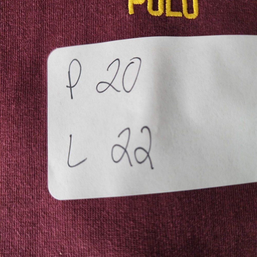 Polo Ralph Lauren Boys Colorblock Hoodie Burgundy Navy Green Yellow L 14-16 - Picture 6 of 7